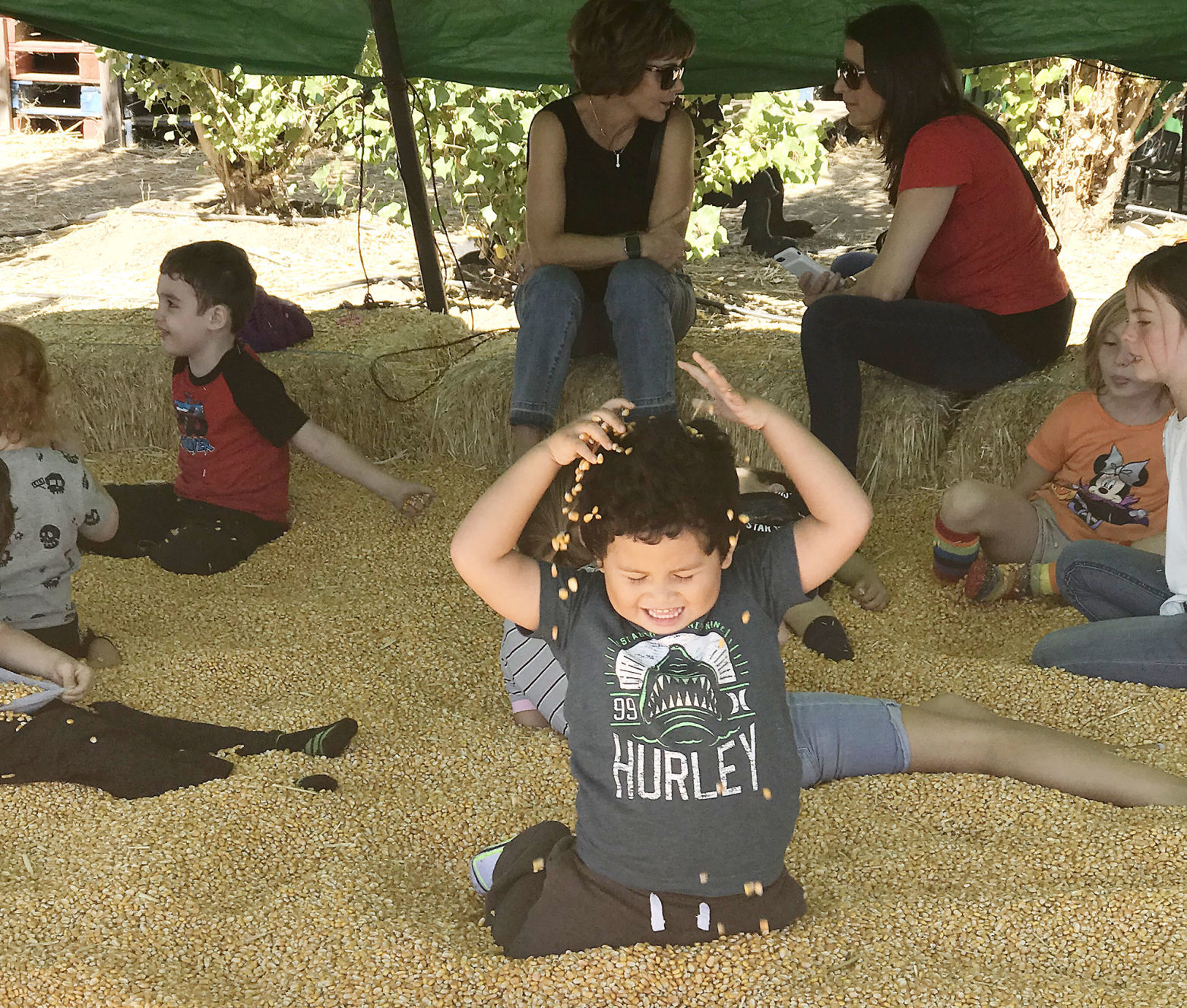 Pumpkin Patch